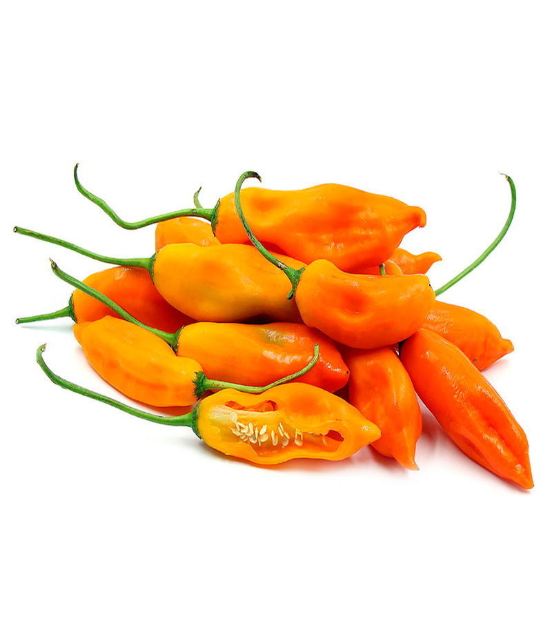 Ají Amarillo Chico